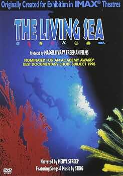 その他 Living Sea [DVD] 91Eo5C8wB+L._UF350,350_QL50_.jpg